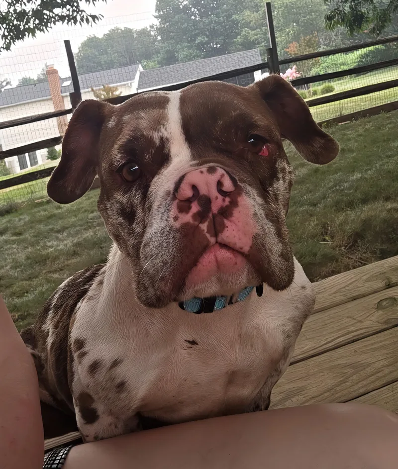 Coco
