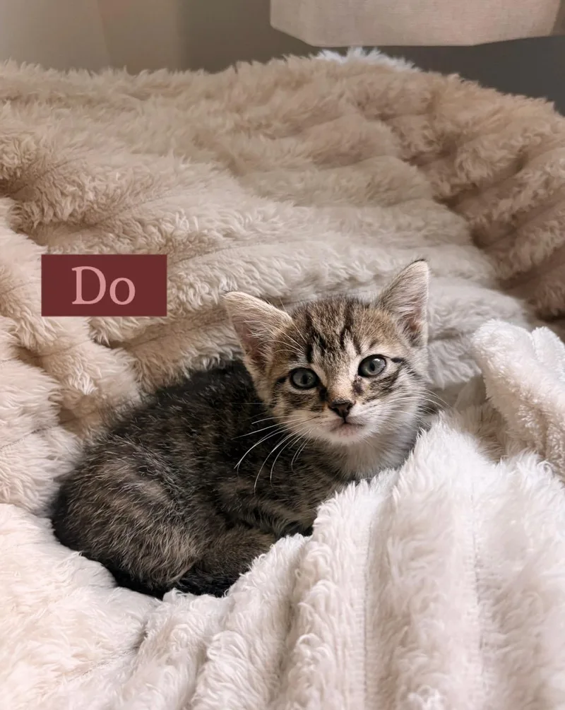 Do