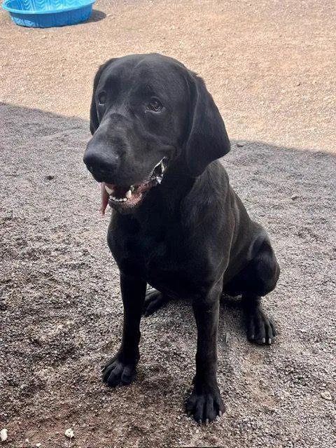 Copper
