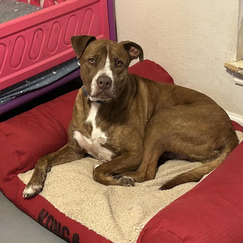 Chance Jc thumbnail 2