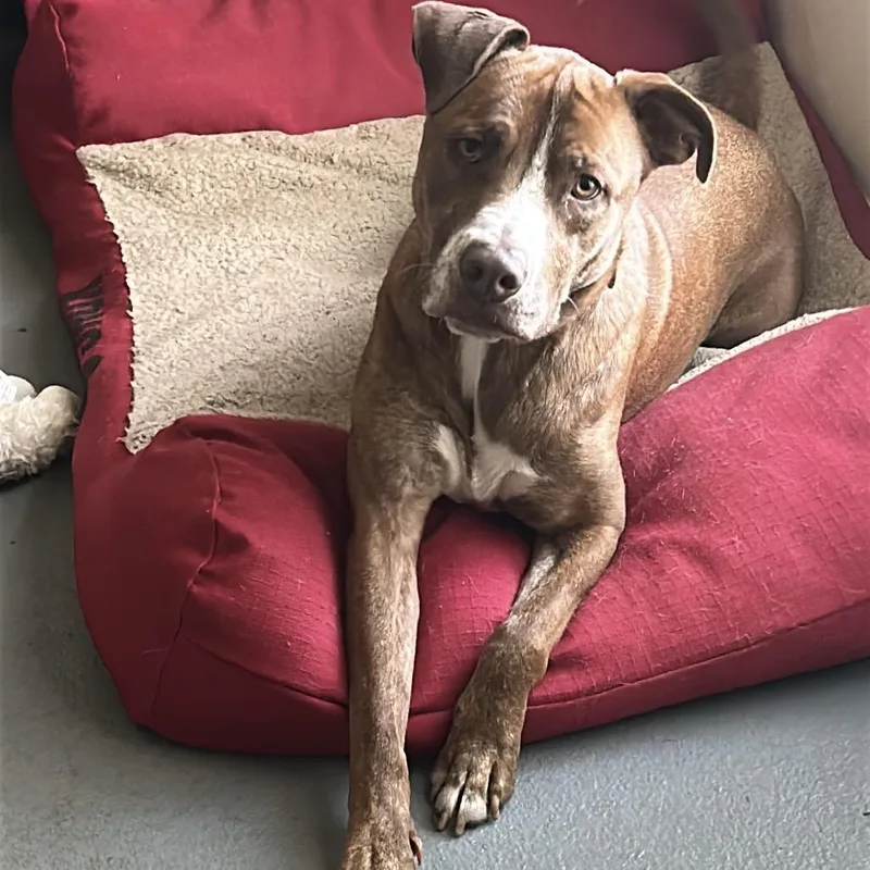 Chance Jc thumbnail 4