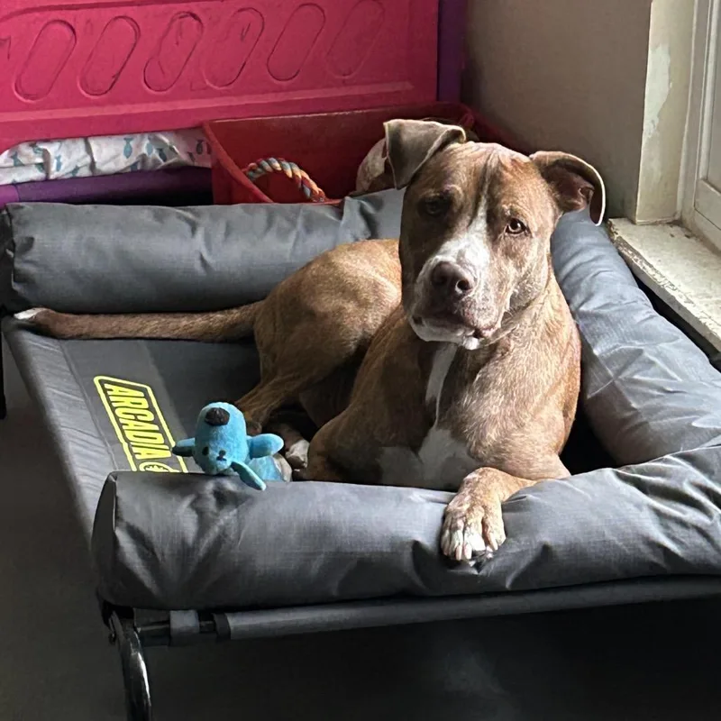 Chance Jc thumbnail 6