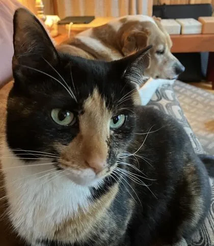 Monica Laguna Kailua