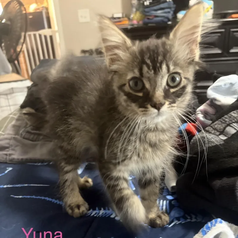 Yuna thumbnail 2