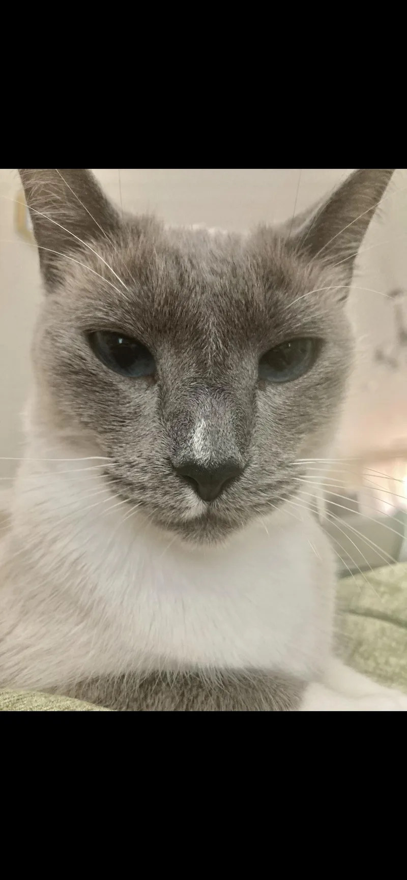Piperso sweet Video thumbnail 2