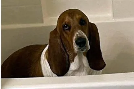 Maisey thumbnail 2