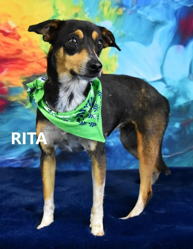 Rita