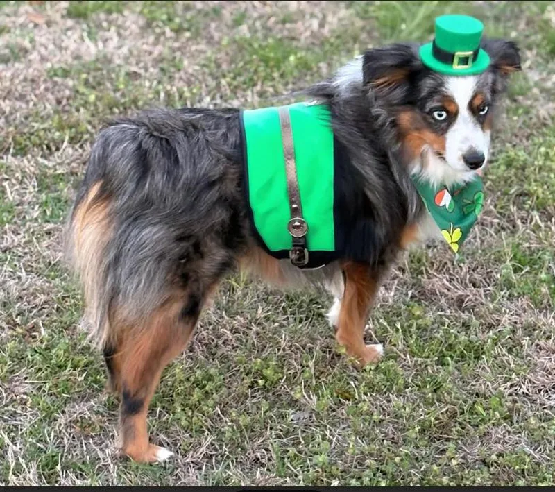 Yeager In La thumbnail 2