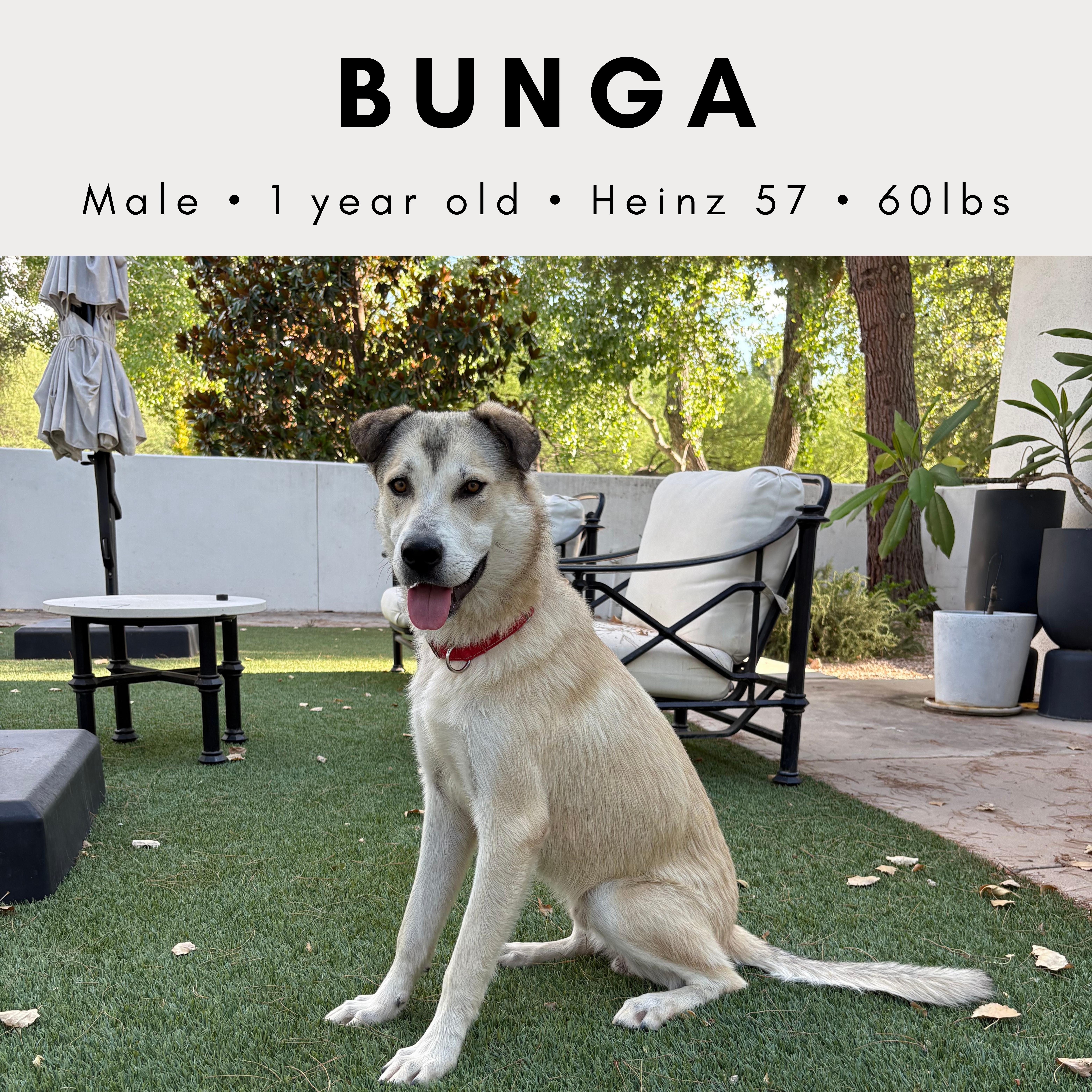 Bunga thumbnail 2