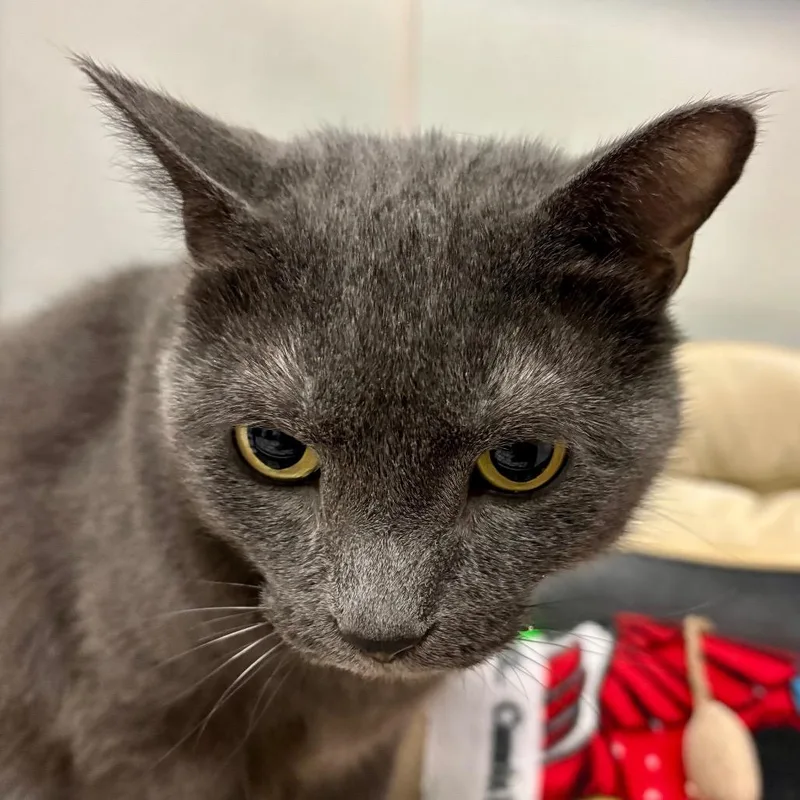 Ben thumbnail 3