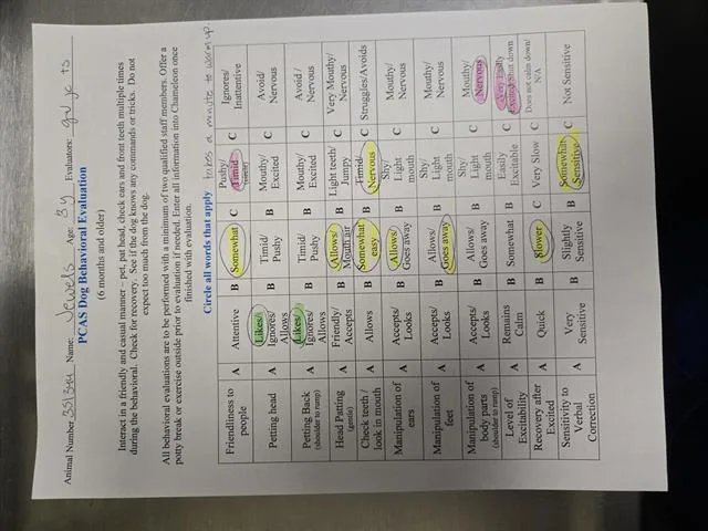 Jewels