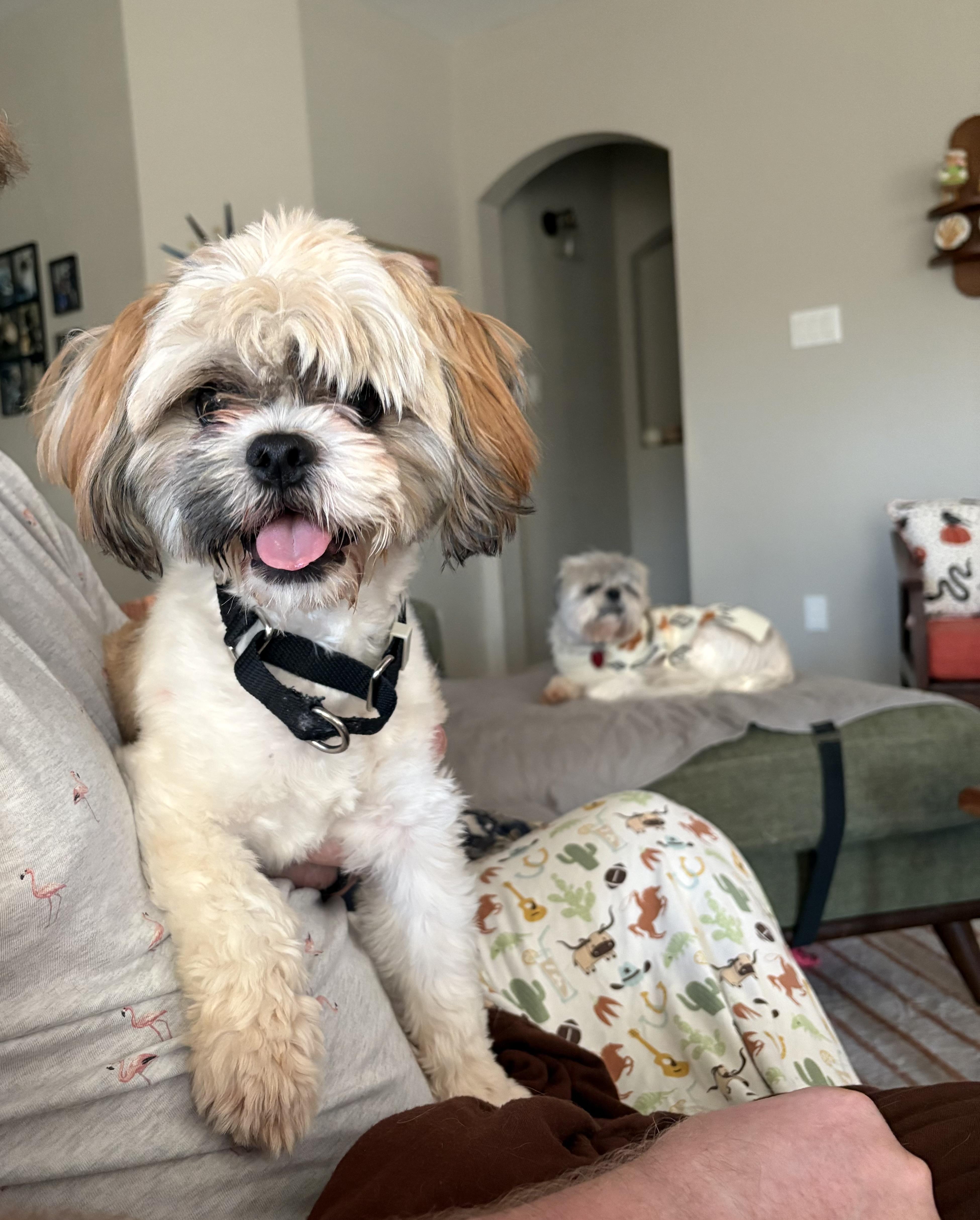 Colby thumbnail 5