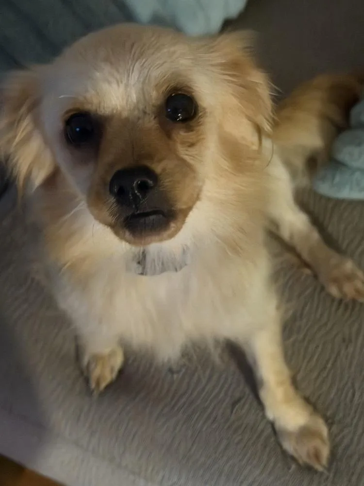 Lola thumbnail 3