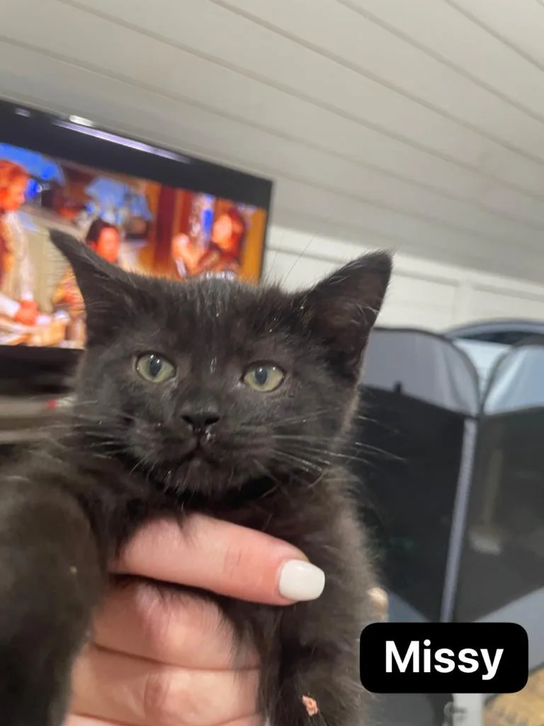 Missy thumbnail 2