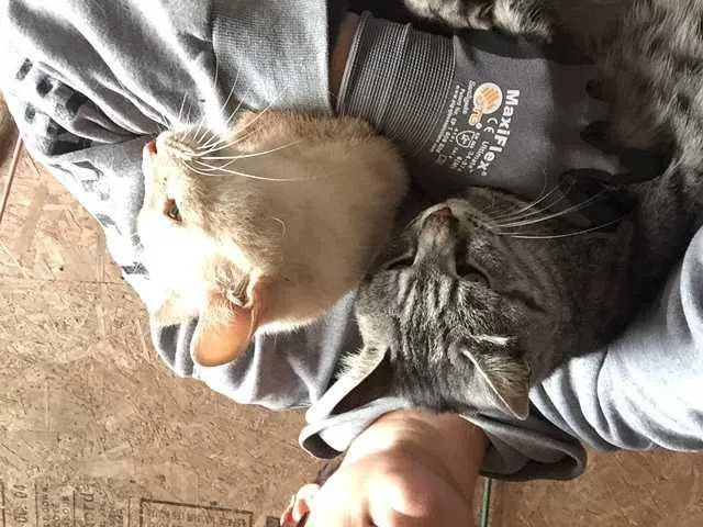 Jasmine Sponsor Only thumbnail 2