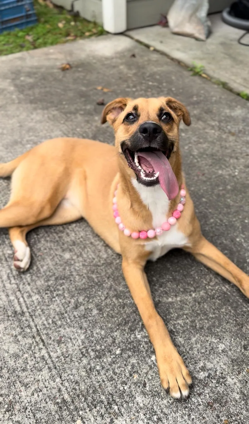 Junie B. Jones thumbnail 2