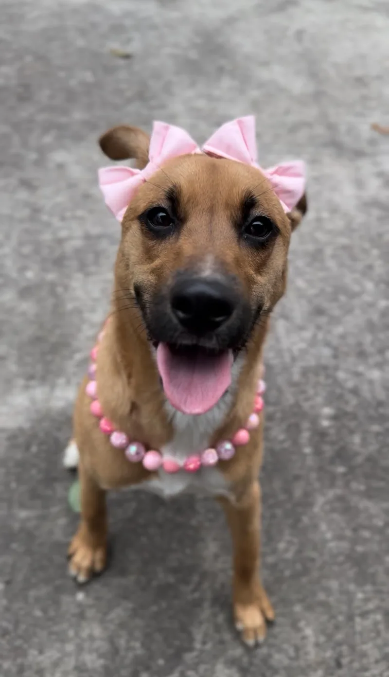 Junie B. Jones thumbnail 4