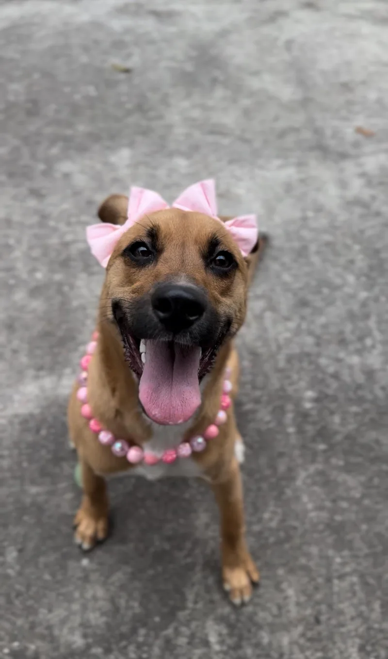 Junie B. Jones thumbnail 5