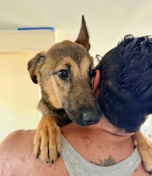 Cheyenne thumbnail 2