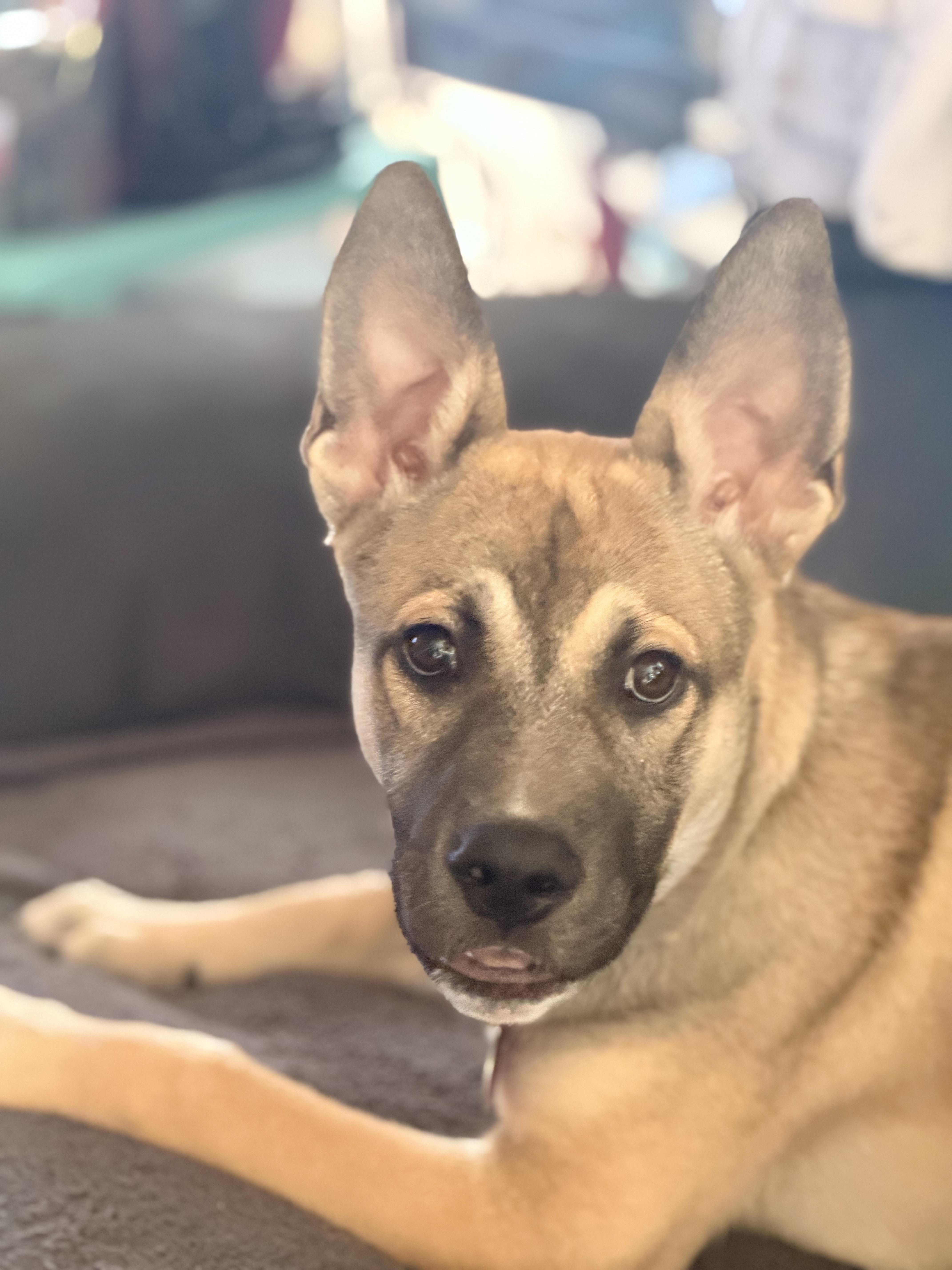 Mateo