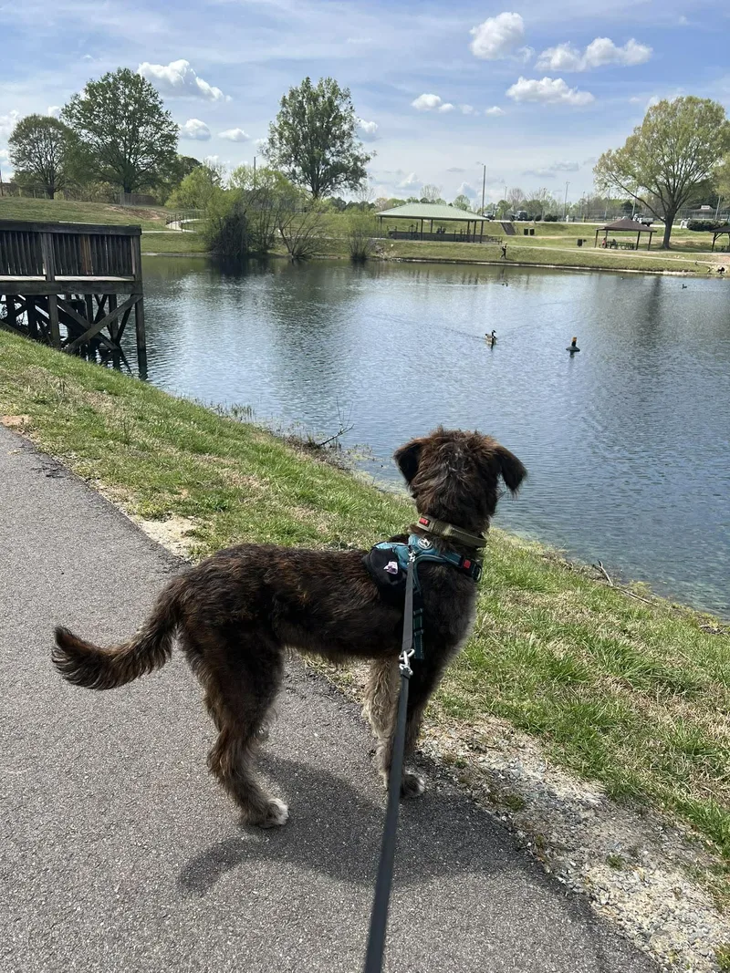 Gregory thumbnail 6