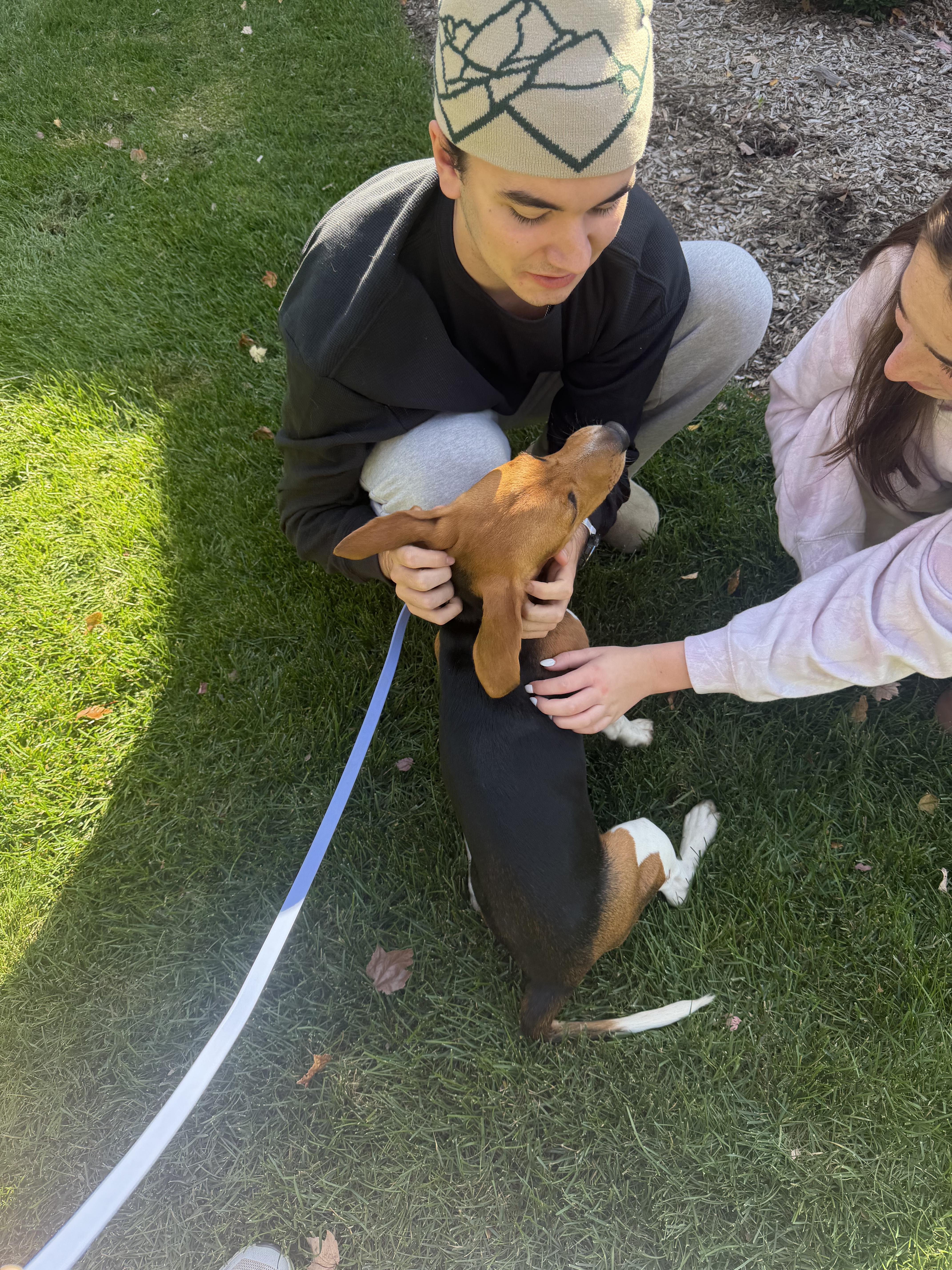 Reese thumbnail 3