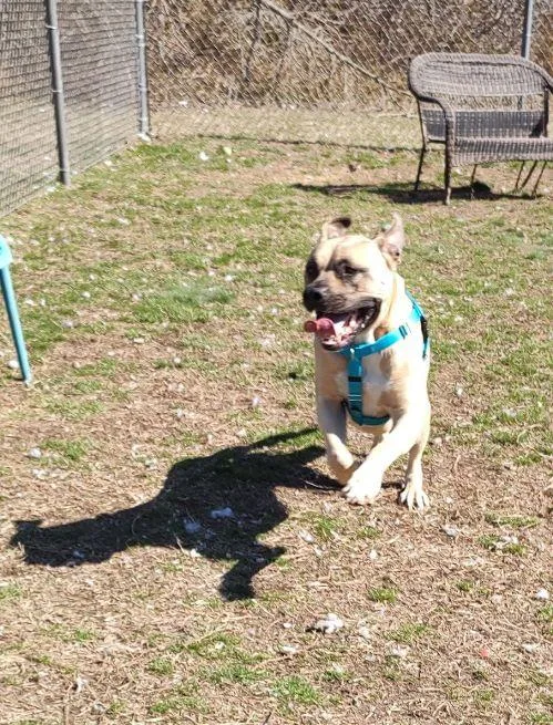 Simba Grace thumbnail 2