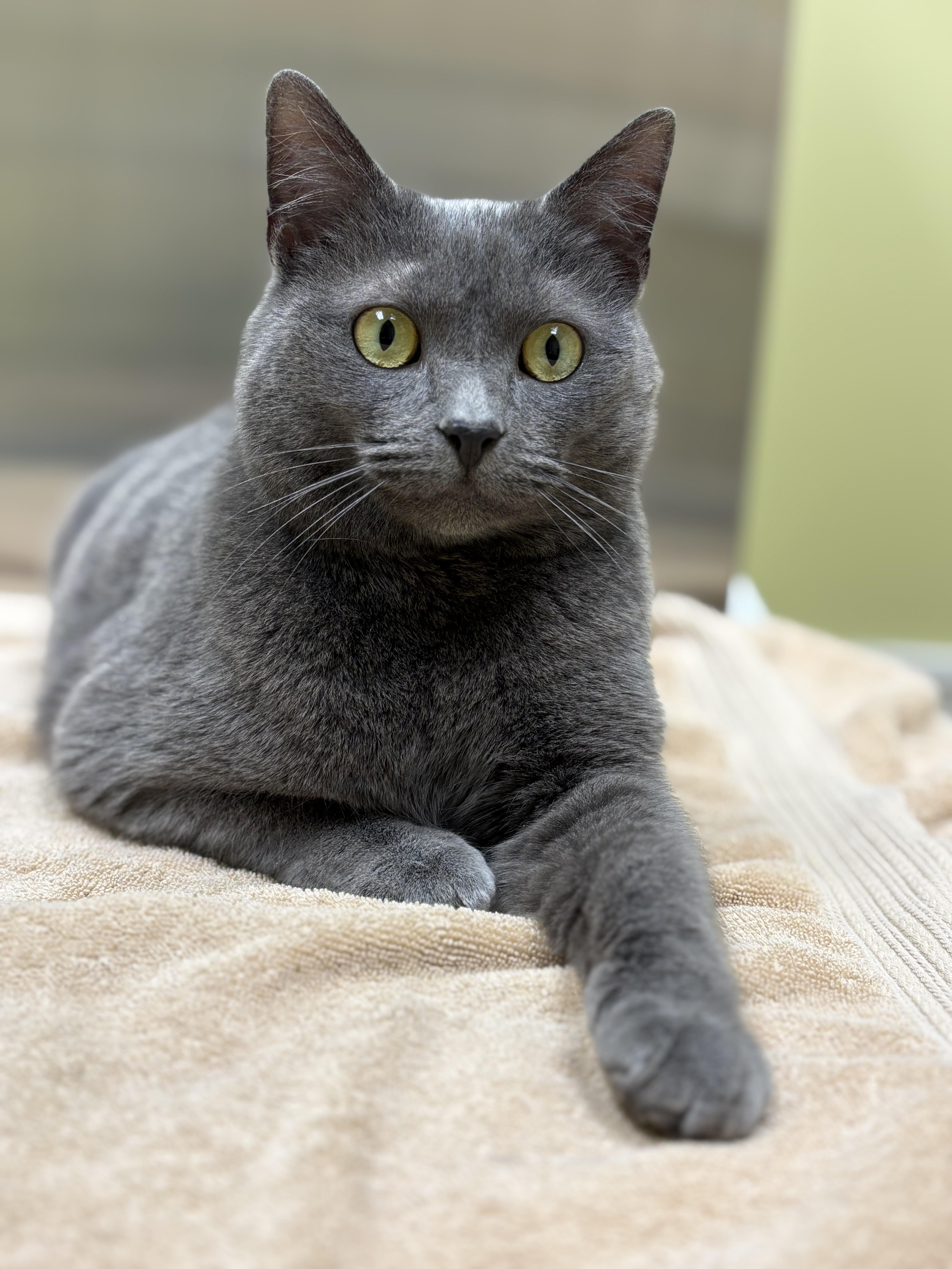 Lita Ford thumbnail 4