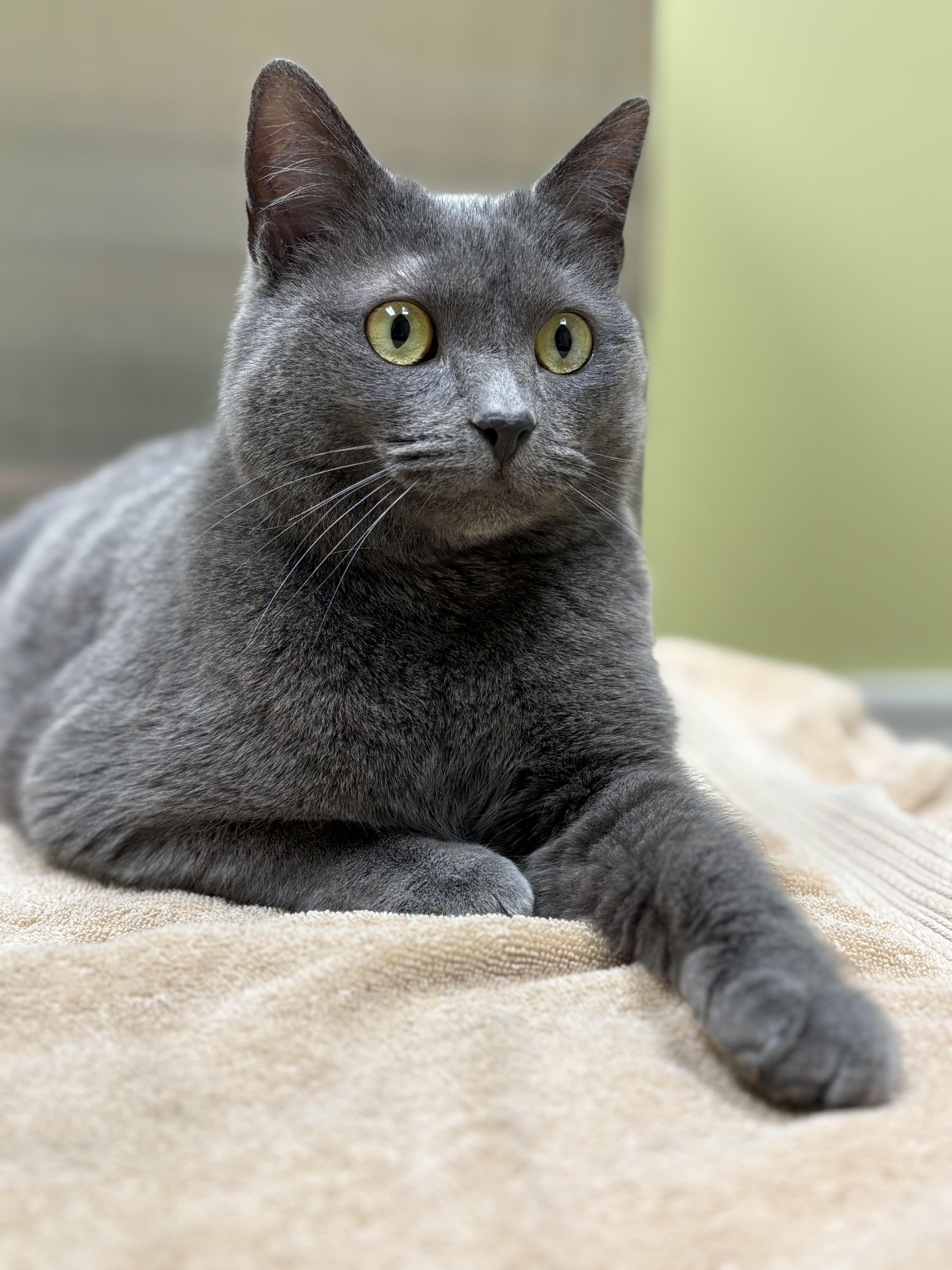 Lita Ford thumbnail 5