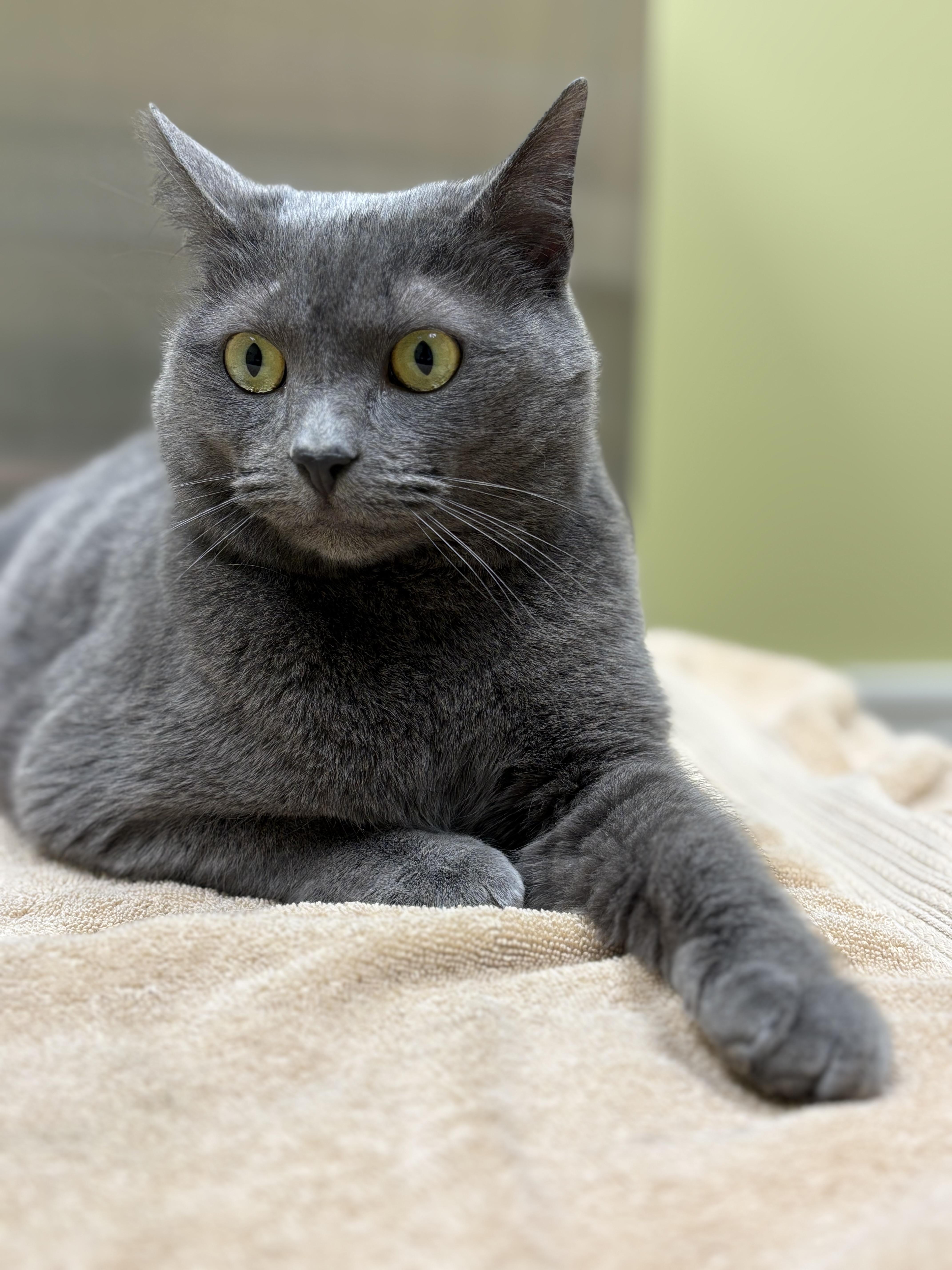 Lita Ford thumbnail 6