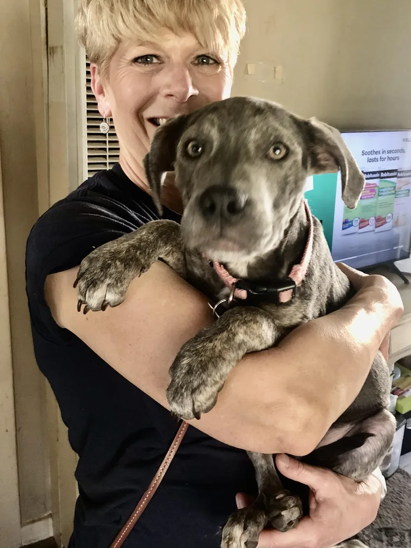 Puppy Hope thumbnail 4