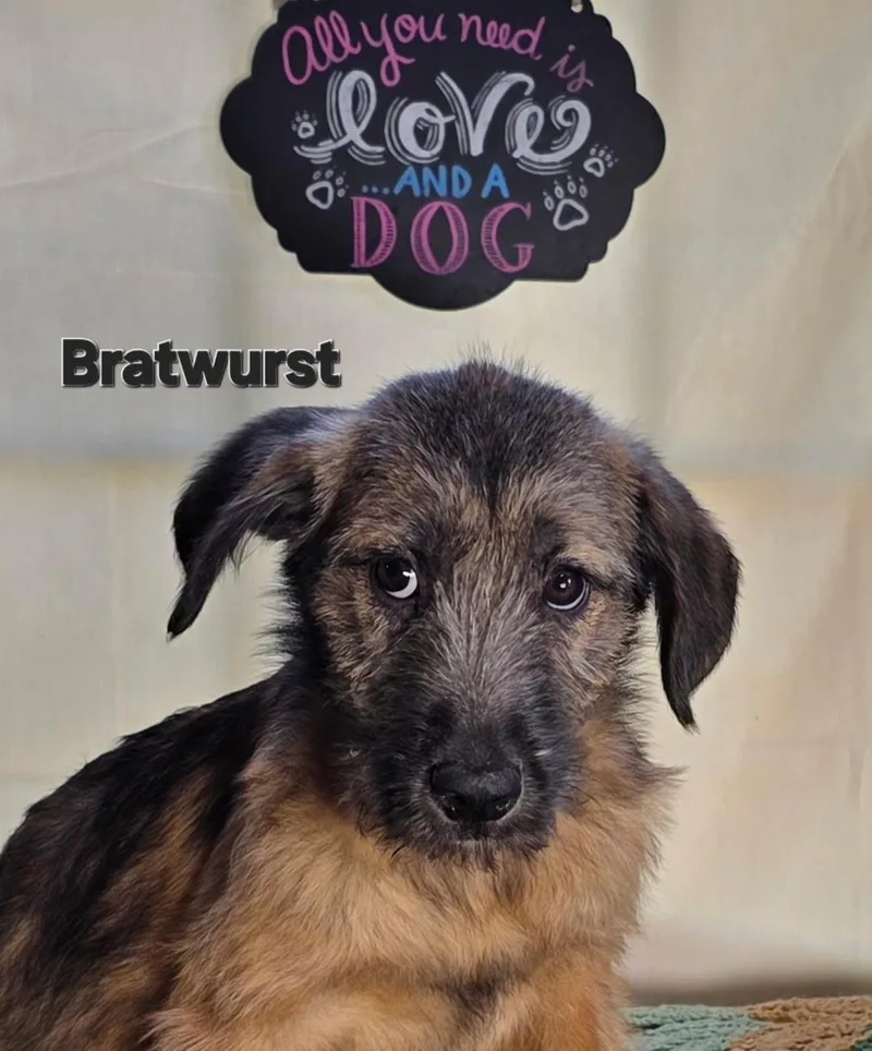 Bratwurst thumbnail 2