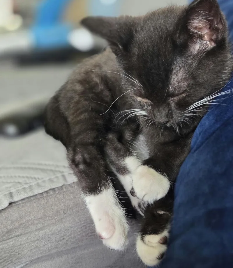 Kevin thumbnail 3