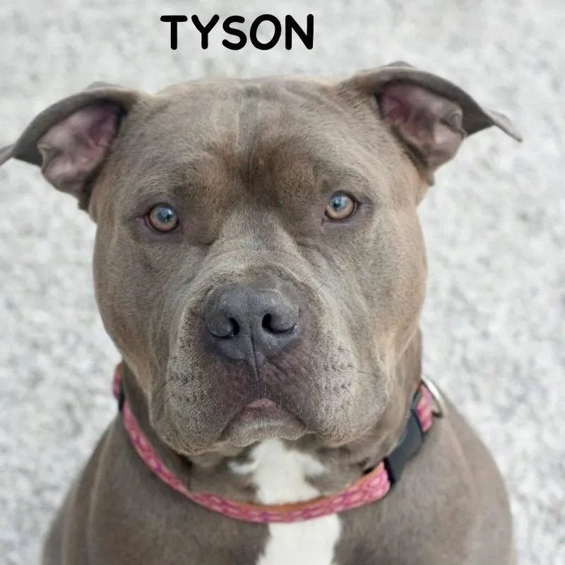 Tyson