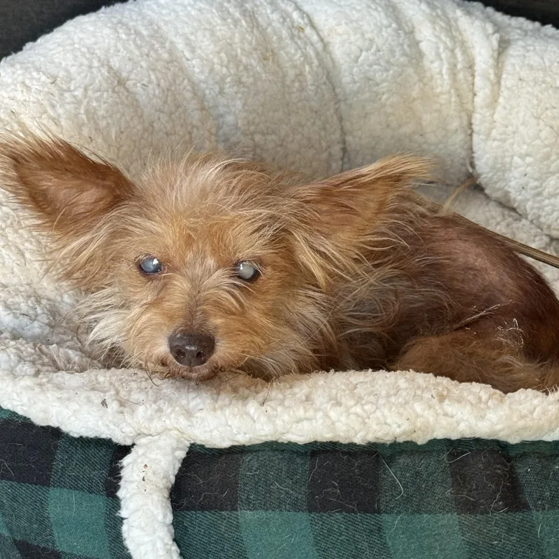 Itty Bitty thumbnail 2