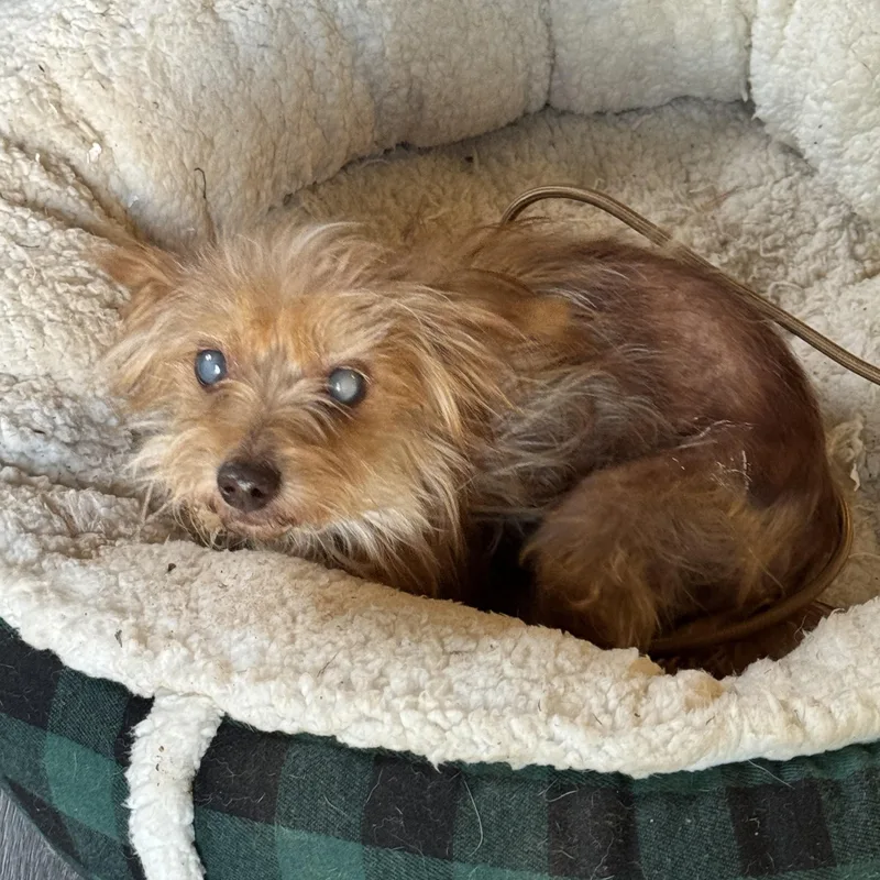 Itty Bitty thumbnail 3