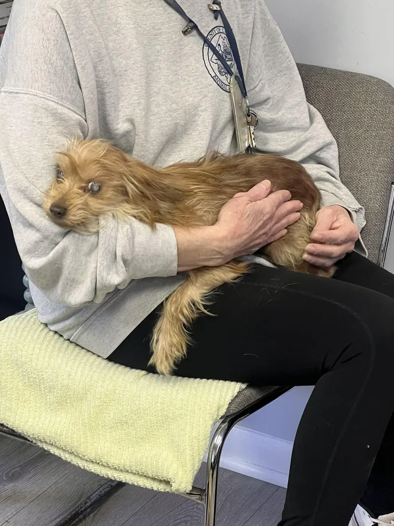 Itty Bitty thumbnail 4