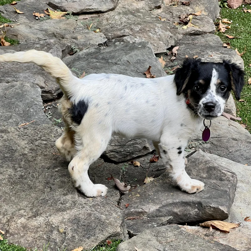 Dottie thumbnail 4