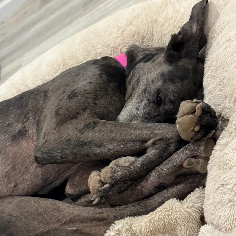 Guadalupe thumbnail 2