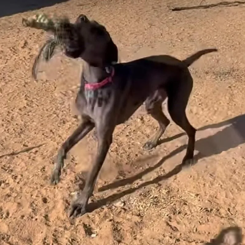 Guadalupe thumbnail 3