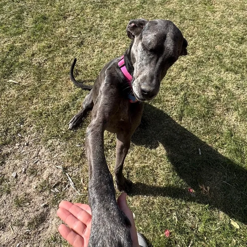 Guadalupe thumbnail 5