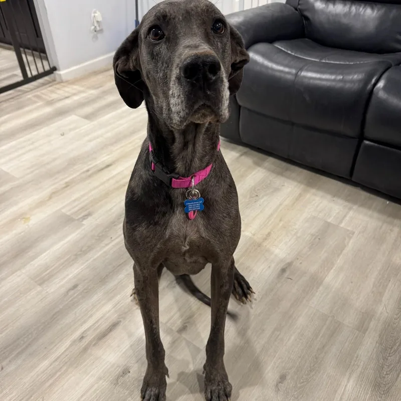 Guadalupe thumbnail 6