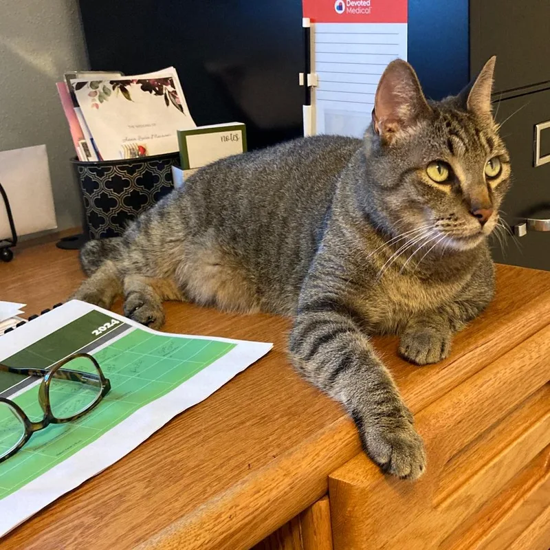 Capt Hook thumbnail 4