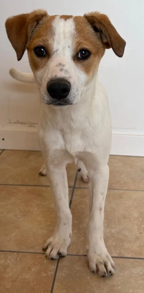 Ful Medames thumbnail 2