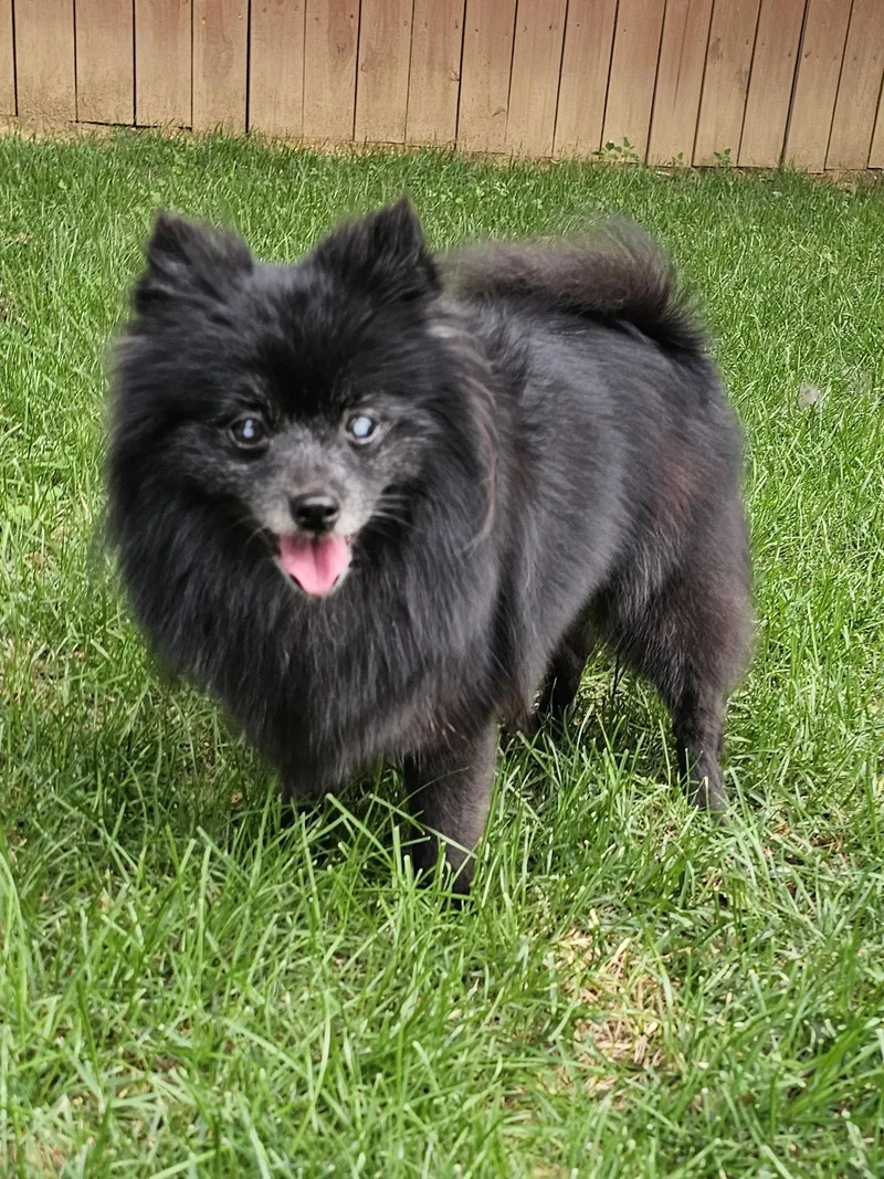 Edna