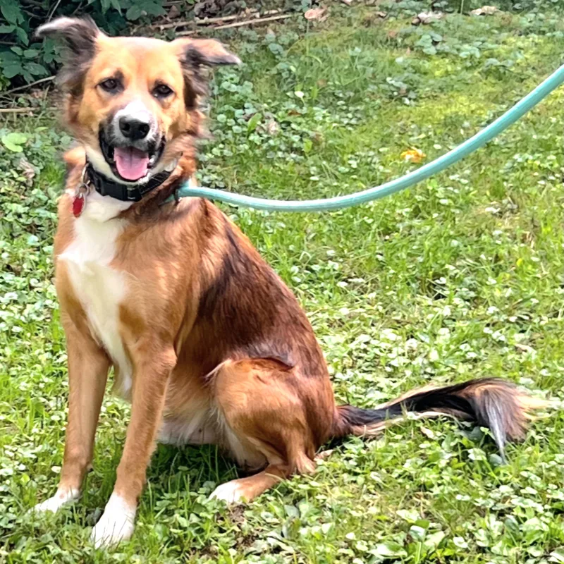 Jacob In Ny To thumbnail 4