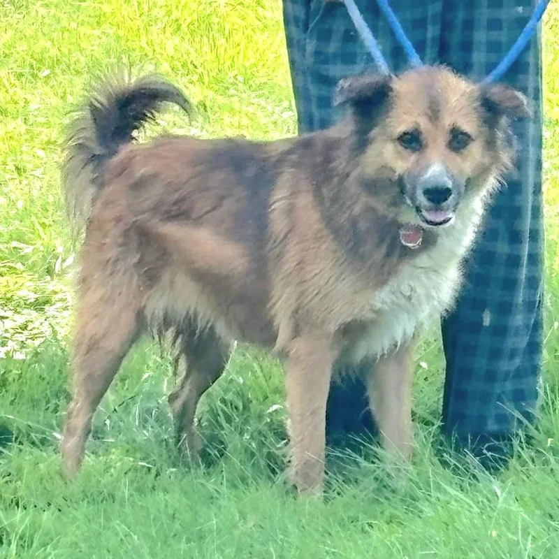 Jacob In Ny To thumbnail 5