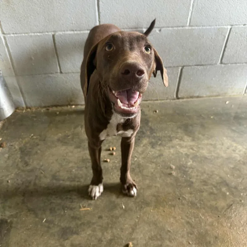 Itty Bitty thumbnail 2