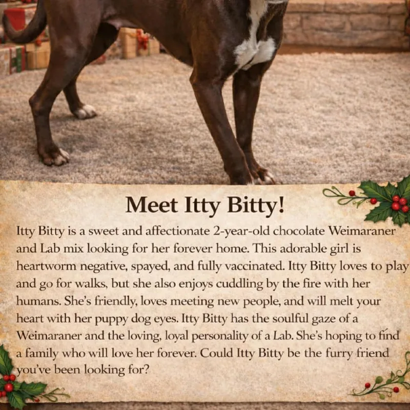 Itty Bitty thumbnail 4