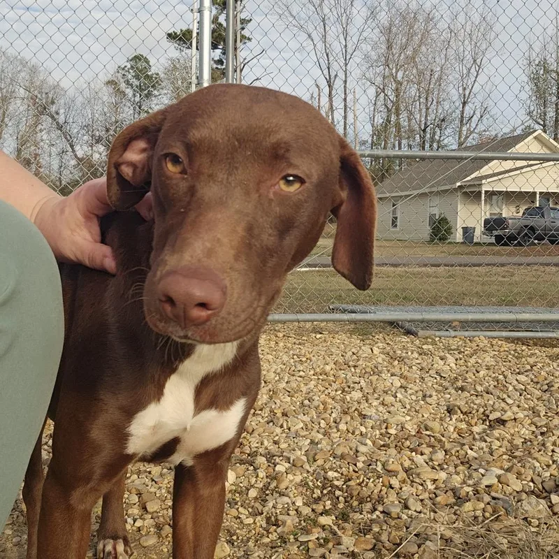 Itty Bitty thumbnail 5